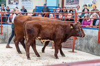 lot 35 Grinkle Barolo Ury Maid sold for 2100gns